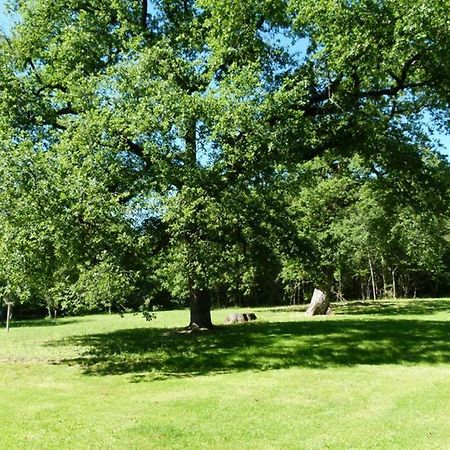 Gite En Brenne Les Chenes Merigny Luaran gambar