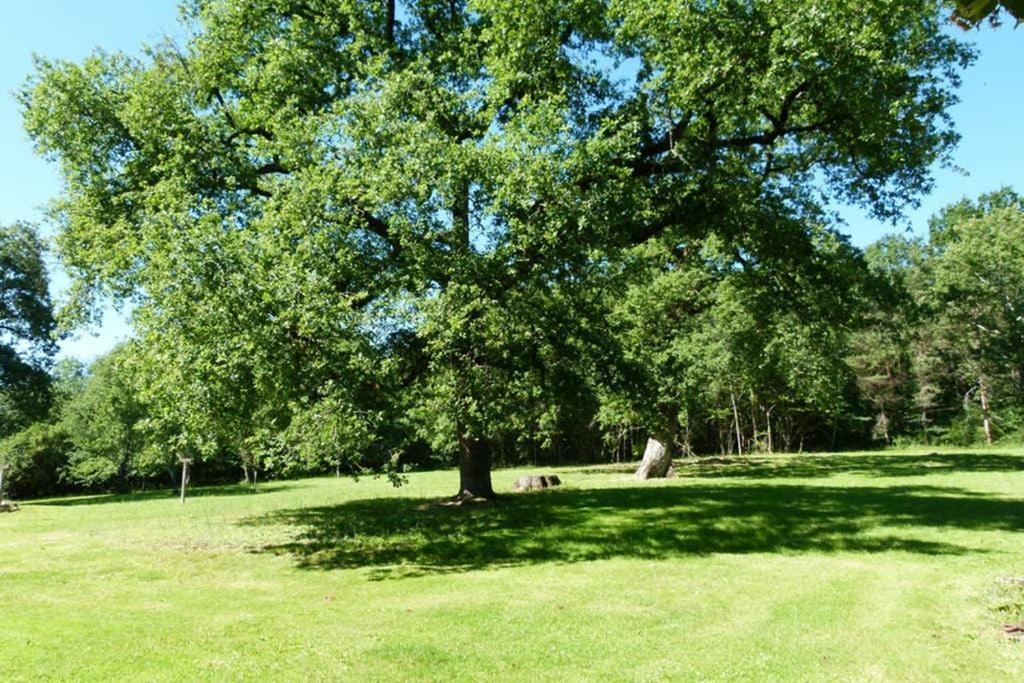 Gite En Brenne Les Chenes Merigny Luaran gambar
