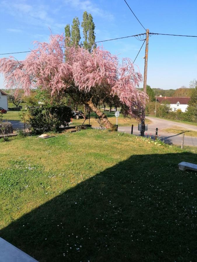 Gite En Brenne Les Chenes Merigny Luaran gambar